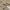 Scrolltext